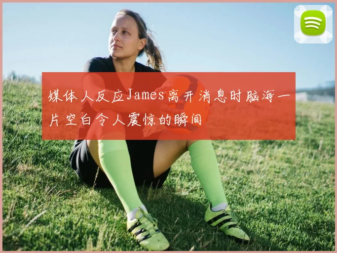媒体人反应James离开消息时脑海一片空白令人震惊的瞬间