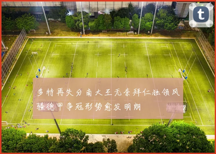 多特再失分南大王无奈拜仁独领风骚德甲争冠形势愈发明朗