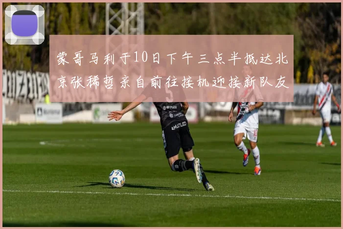 蒙哥马利于10日下午三点半抵达北京张稀哲亲自前往接机迎接新队友