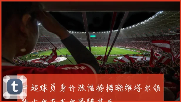 中超球员身价涨幅榜揭晓维塔尔领跑古尔芬克尔紧随其后