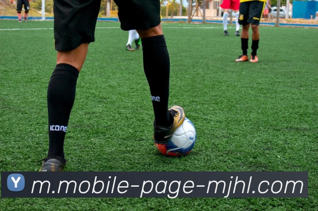 麻将胡了平台生态图